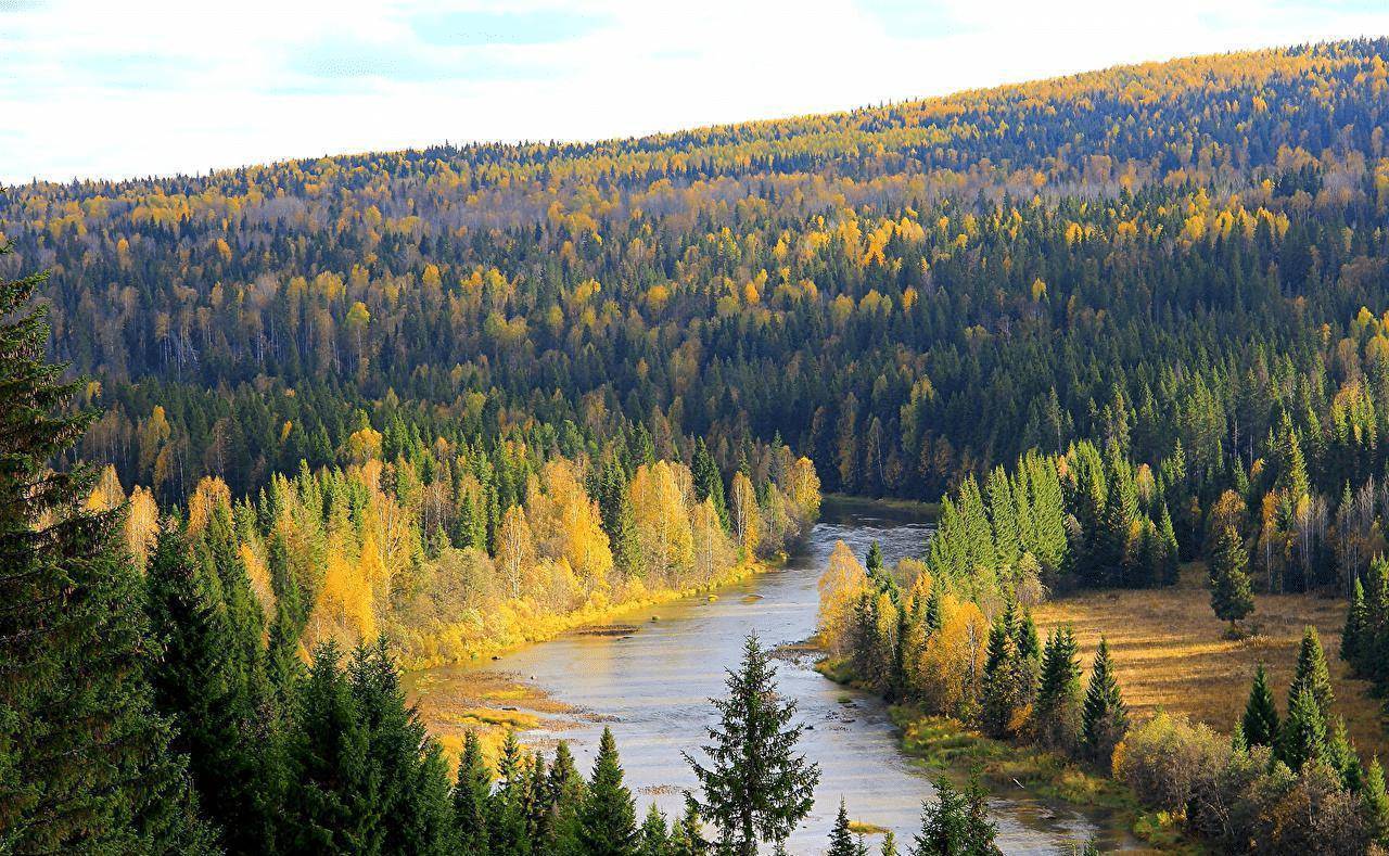 林材蓄積量807億立方米.俄資源總儲量的80%分布在亞洲.